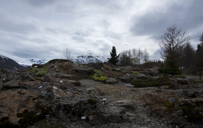 Tromso botanical garden